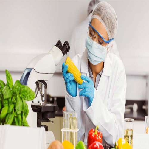 Food Testing Lab in India
