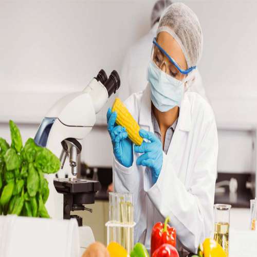 Food Testing Lab in India Food Testing Lab in India